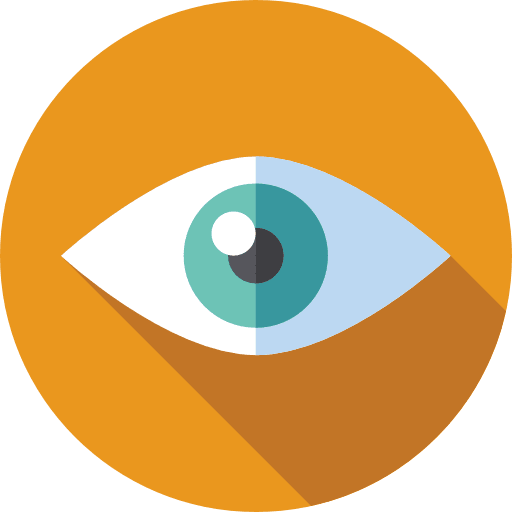 vision